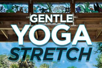 Gentle Yoga Stretch: 2 Simple, Mindful 30-Minute Practices to Improve Stability, Mobility, Flexibility and Relaxation with Jessica Smith [DVD]