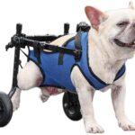 Dog Wheelchair for Back Legs，Adjustable Pets Cart Mobility Aids for Little Pets,Such as Dogs Cats ect. Assist Small Pets with Paralyzed Disabled Hind Limbs to Recover Mobility（5.5-11 LBS）