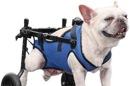 Dog Wheelchair for Back Legs，Adjustable Pets Cart Mobility Aids for Little Pets,Such as Dogs Cats ect. Assist Small Pets with Paralyzed Disabled Hind Limbs to Recover Mobility（5.5-11 LBS）