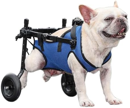 Dog Wheelchair for Back Legs，Adjustable Pets Cart Mobility Aids for Little Pets,Such as Dogs Cats ect. Assist Small Pets with Paralyzed Disabled Hind Limbs to Recover Mobility（5.5-11 LBS）